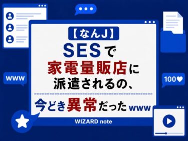 【なんJ】SESで家電量販店に派遣されるの、今どき異常だったｗｗｗ